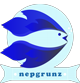 NEPgrunz | Fish, Aquarium and Plants Nepal